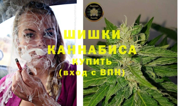 индика Сосновоборск