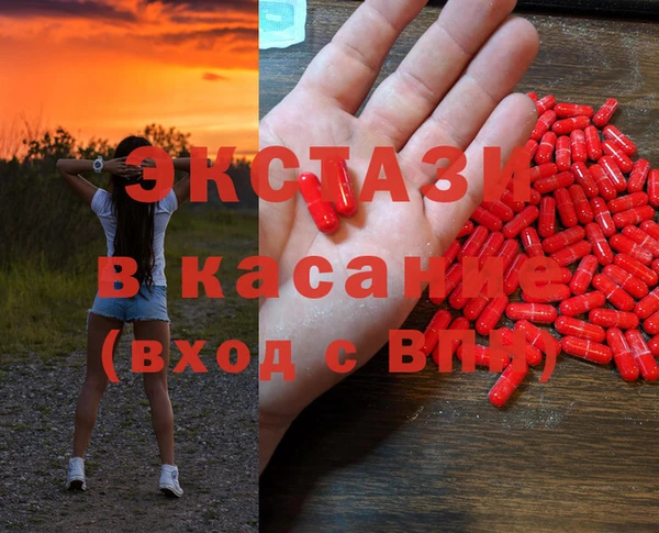 индика Сосновоборск
