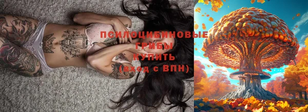 индика Сосновоборск