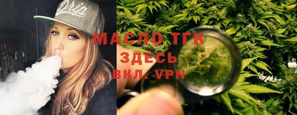 индика Сосновоборск
