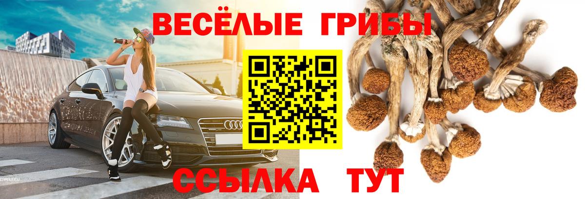 Псилоцибиновые грибы мухоморы Фурманов
