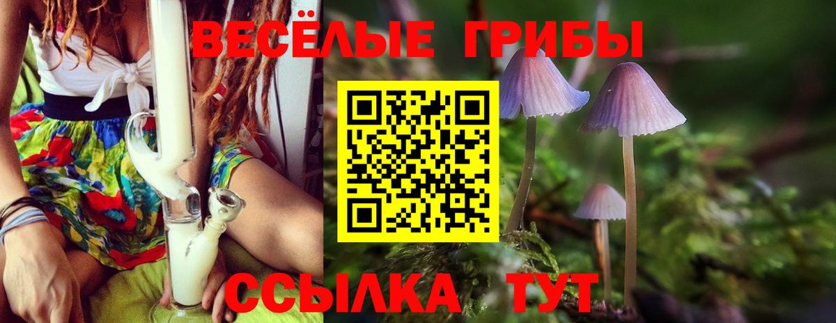 Псилоцибиновые грибы мухоморы  Псилоцибиновые грибы MAGIC MUSHROOMS  Вход с VPN  Фурманов 